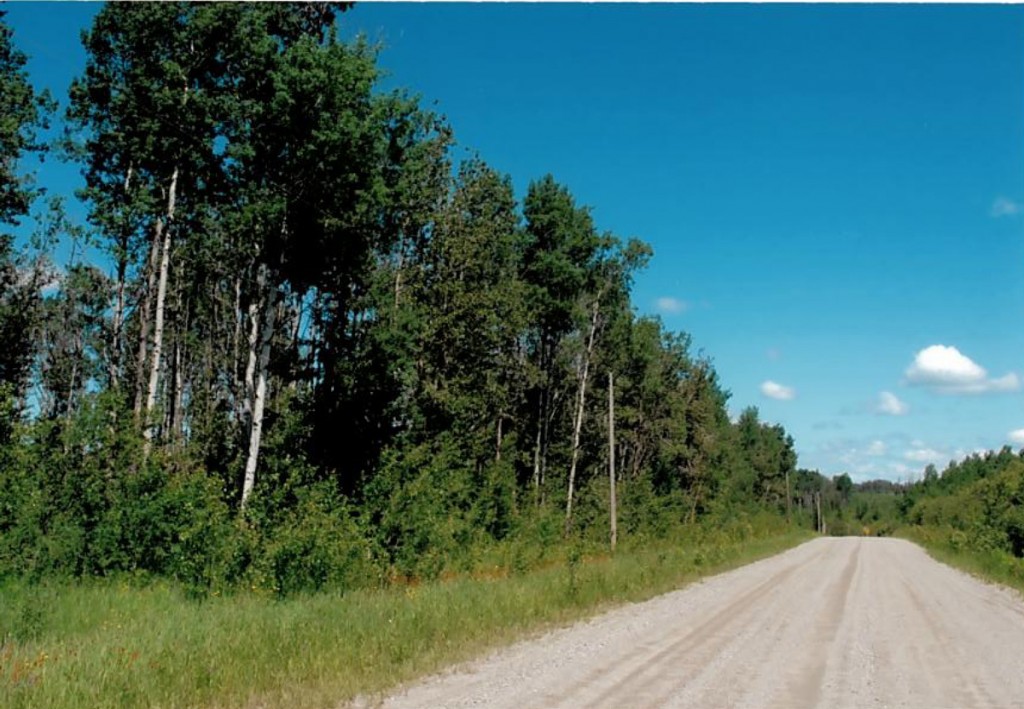 ontariovacantlandforsale Dignam Land Land for Sale in Canada