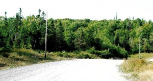vacant lot of land