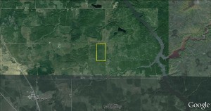 Sat view