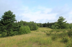 vacant lot for sale