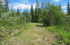 image of lot for sale