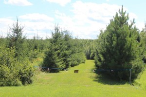 New Brunswick land for sale level