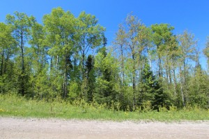 lot for sale in Northern Ontario
