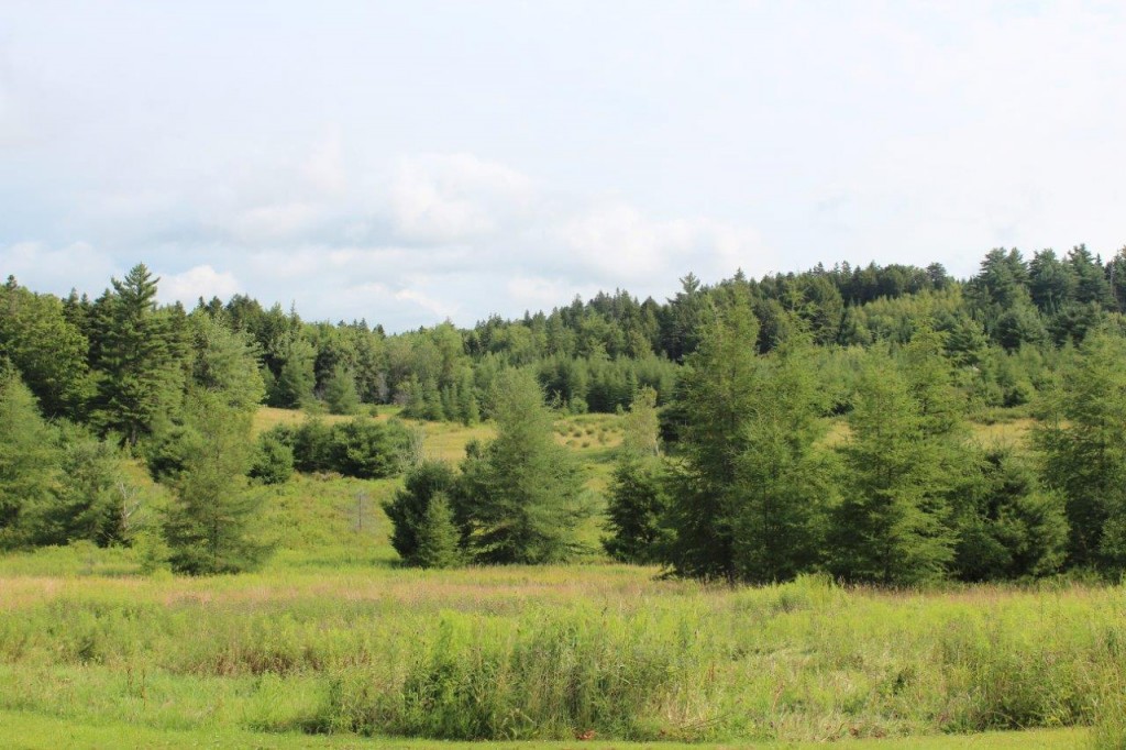 land for sale nova scotia Dignam Land Land for Sale in Canada