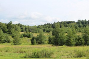lot for sale