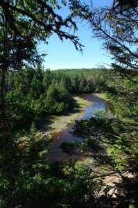 river frontage