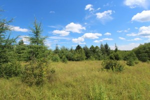 building lot in New Brunswick