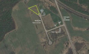 map view