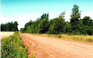 vacant land for sale in PEI