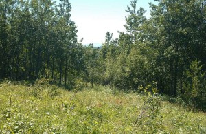 vacant land for sale bc