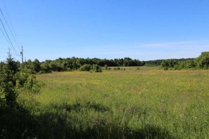 southern Ontario land for sale