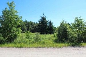 vacant property for sale