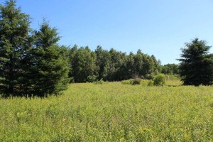 open lot for sale