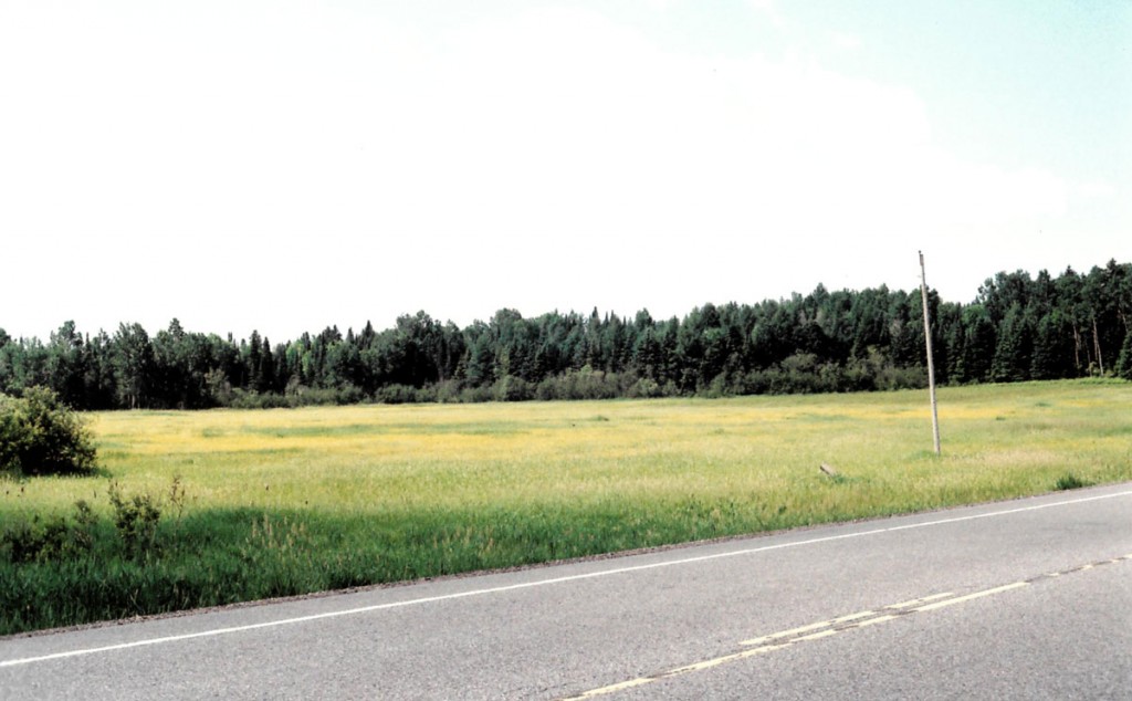 cashcroplandforsale Dignam Land Land for Sale in Canada