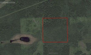 hunting land for sale northern ontario