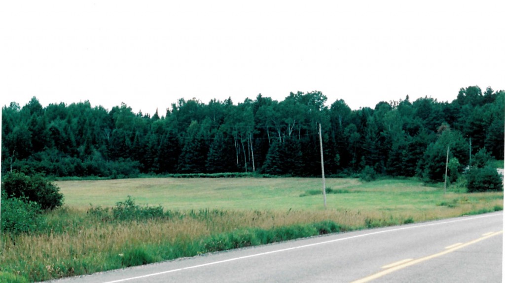Isolated Land For Sale