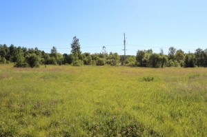 land for sale surveyed