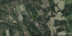 sat view