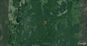 property map view
