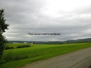 View across road to northeast