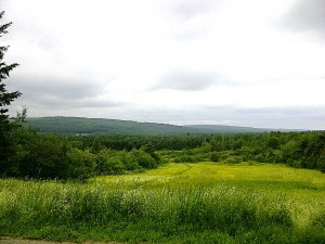 View across road to the north