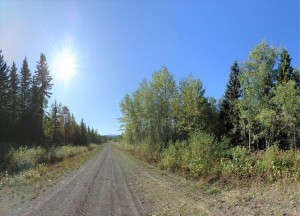 roadside