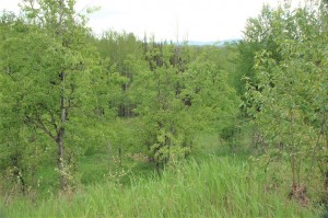 land for sale in BC
