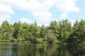 land for sale on water front