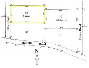 survey of property for sale