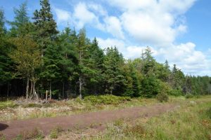 building lot for sale in Nova Scotia