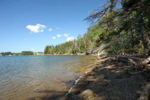 cottage beach frontage