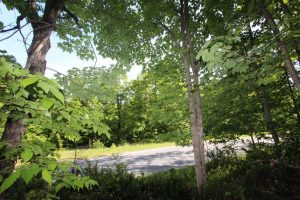 lot for sale in Parry Sound