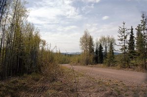 lot for sale in BC