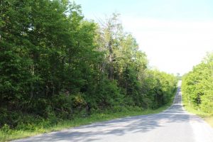 parry sound Ontario land for sale
