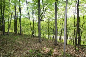 forest land for sale Renfrew Ontario