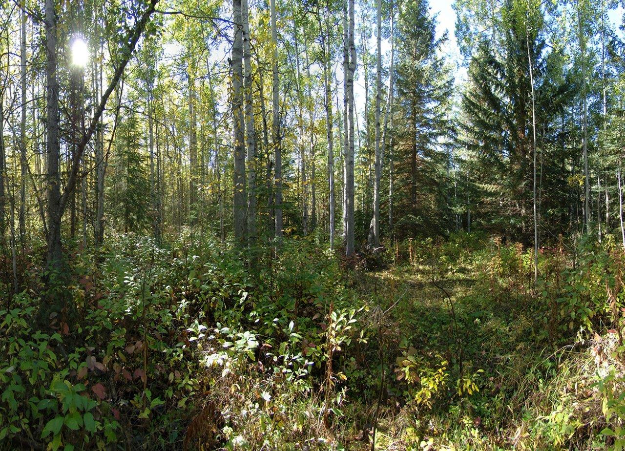 Cheap Land Bc