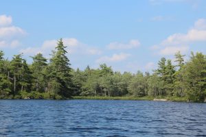 water frontage property in Nova Scotia