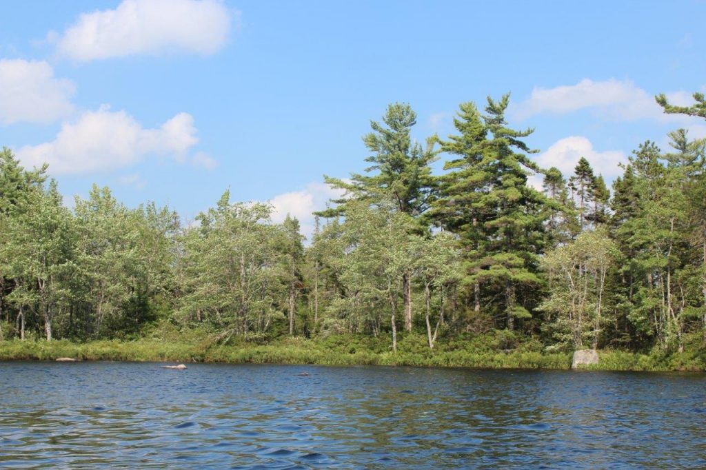 nova scotia waterfront property Dignam Land Land for Sale in Canada