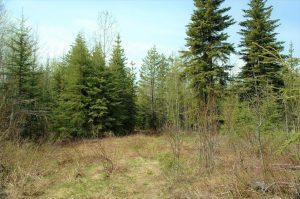 vacant property for sale in BC