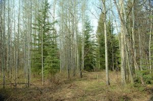 vacant land for sale in BC