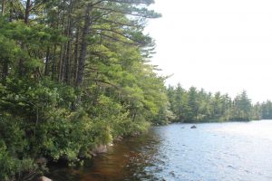 Nova Scotia waterfront property for sale