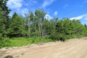 New Brunswick land for sale