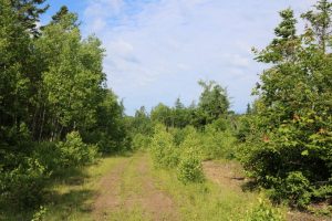 Wickham Cottage Property for Sale