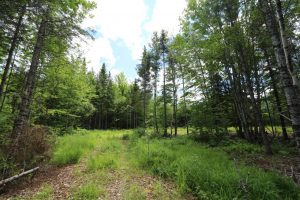 Vacant lot ready to build