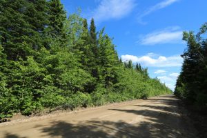 vacant land in New Brunswick