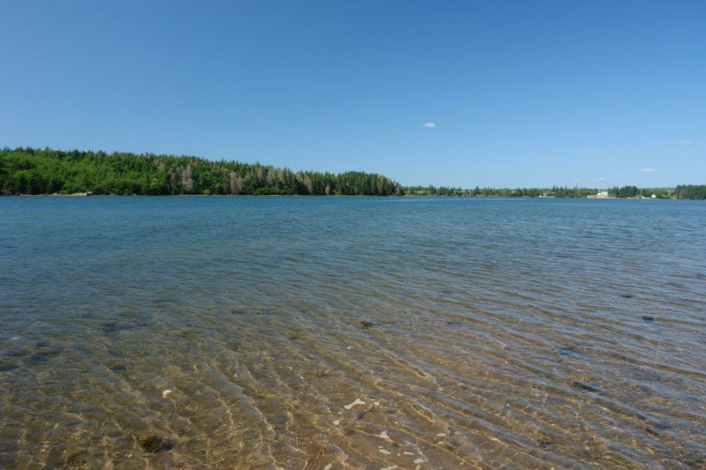 Noca Scotia oceanfront land for sale Dignam Land Land for Sale in