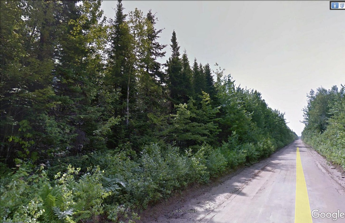 Rogersville lot for sale Dignam Land Land for Sale in Canada