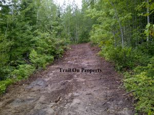 driveway of property