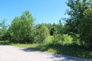 land with services