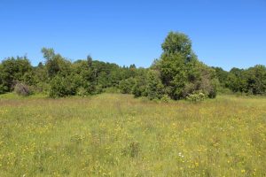 vacant land in North Bay